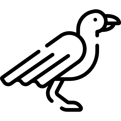 Crow icon