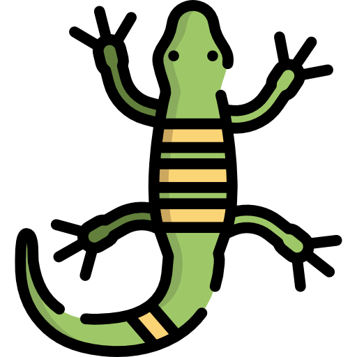 Lizard icon