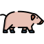 Свинья иконка 64x64