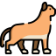 Кот иконка 64x64
