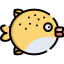 Puffer fish icon 64x64