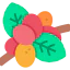 Coffee plant icon 64x64