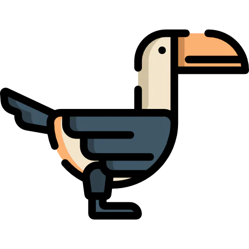 Toucan 상