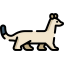 Ermine 图标 64x64