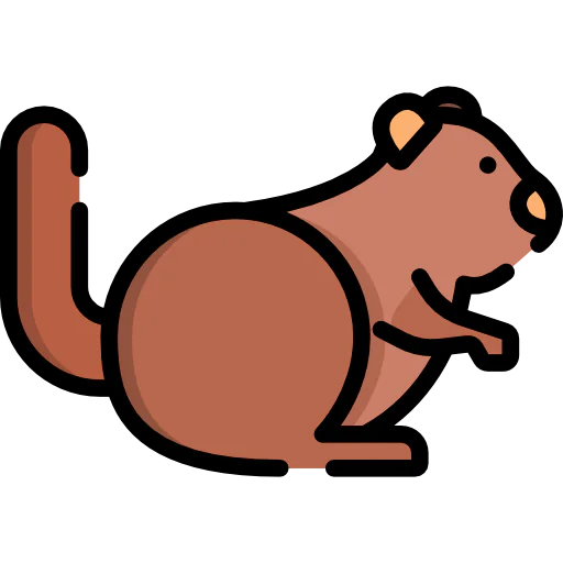 Squirrel icon