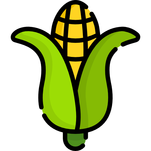 Corn icon