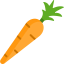 Carrot アイコン 64x64