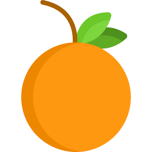 Orange icon