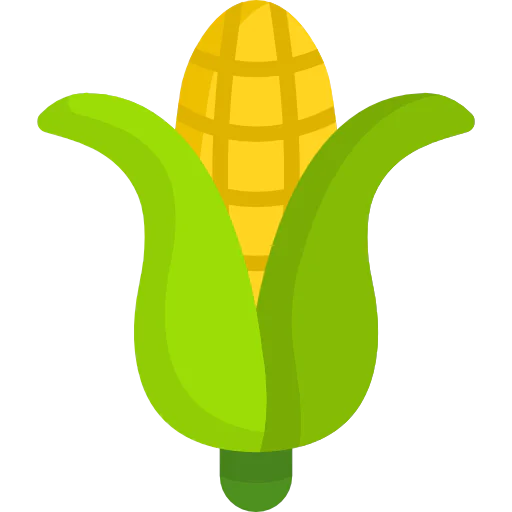 Corn icon