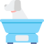 Scale icon 64x64