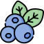 Blueberry icon 64x64