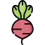 Radish icon 64x64