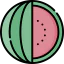 Watermelon icon 64x64