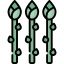 Asparagus icon 64x64