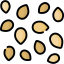 Sesame icon 64x64
