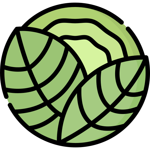 Cabbage icon