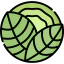 Cabbage icon 64x64