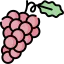 Grapes icon 64x64