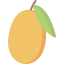 Mango icon 64x64