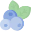 Blueberry icon 64x64
