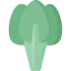 Spinach icon 64x64
