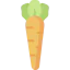 Carrot icon 64x64