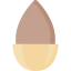 Almond icon 64x64