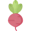 Radish icon 64x64