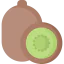 Kiwi icon 64x64