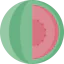 Watermelon icon 64x64