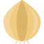 Onion ícono 64x64