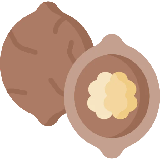 Walnut icon