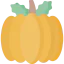 Pumpkin icon 64x64