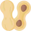 Peanut icon 64x64