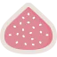 Fig icon 64x64