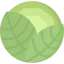 Cabbage icône 64x64