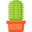 Cactus icon 64x64