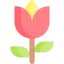 Tulip ícono 64x64