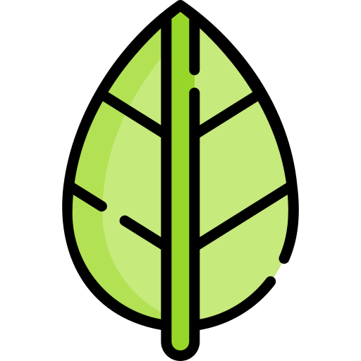 Leaf icon
