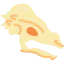 Pachycephalosaurus 상 64x64