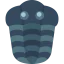 Shellfish 상 64x64
