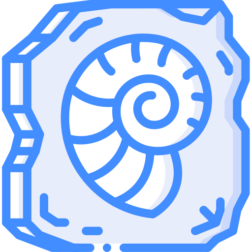 Fossil icon
