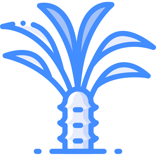 Palm tree 图标