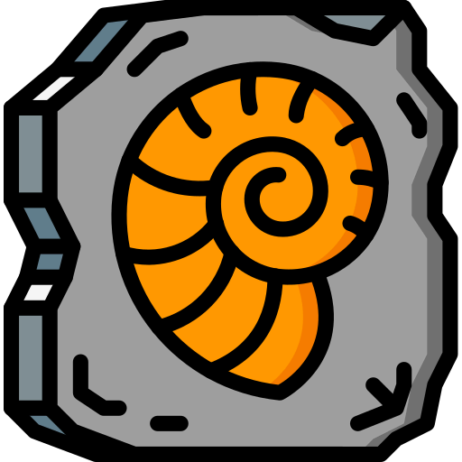 Fossil 상