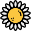 Sunflower icon 64x64