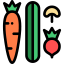 Vegetables icon 64x64