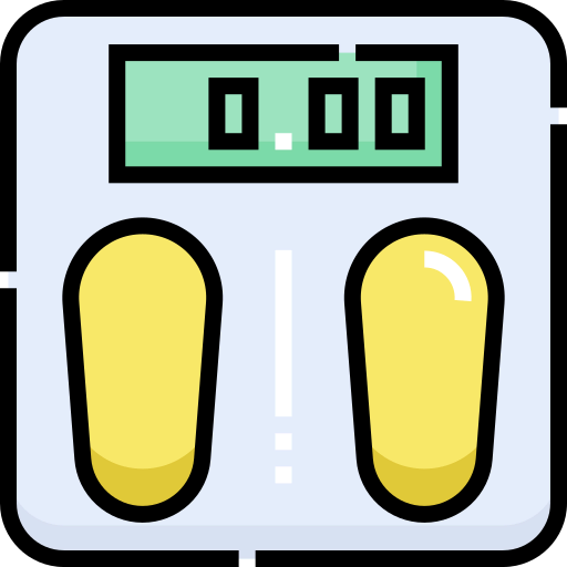 Scale icon