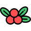 Mistletoe icon 64x64