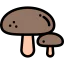 Mushroom icon 64x64