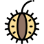 Chestnut icon 64x64